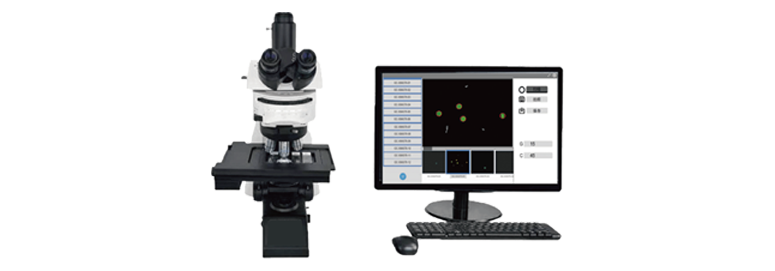 全自動(dòng)兩蟲(chóng)識別系統