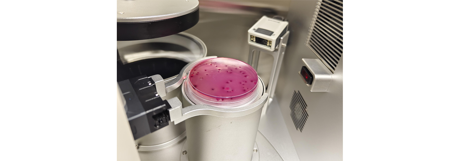 全自動(dòng)菌落計數工作站SCW-100